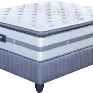 Sealy Anzio Medium